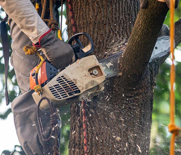 Tree Service, Landscaping, and Hardscaping in Hampton, NJ