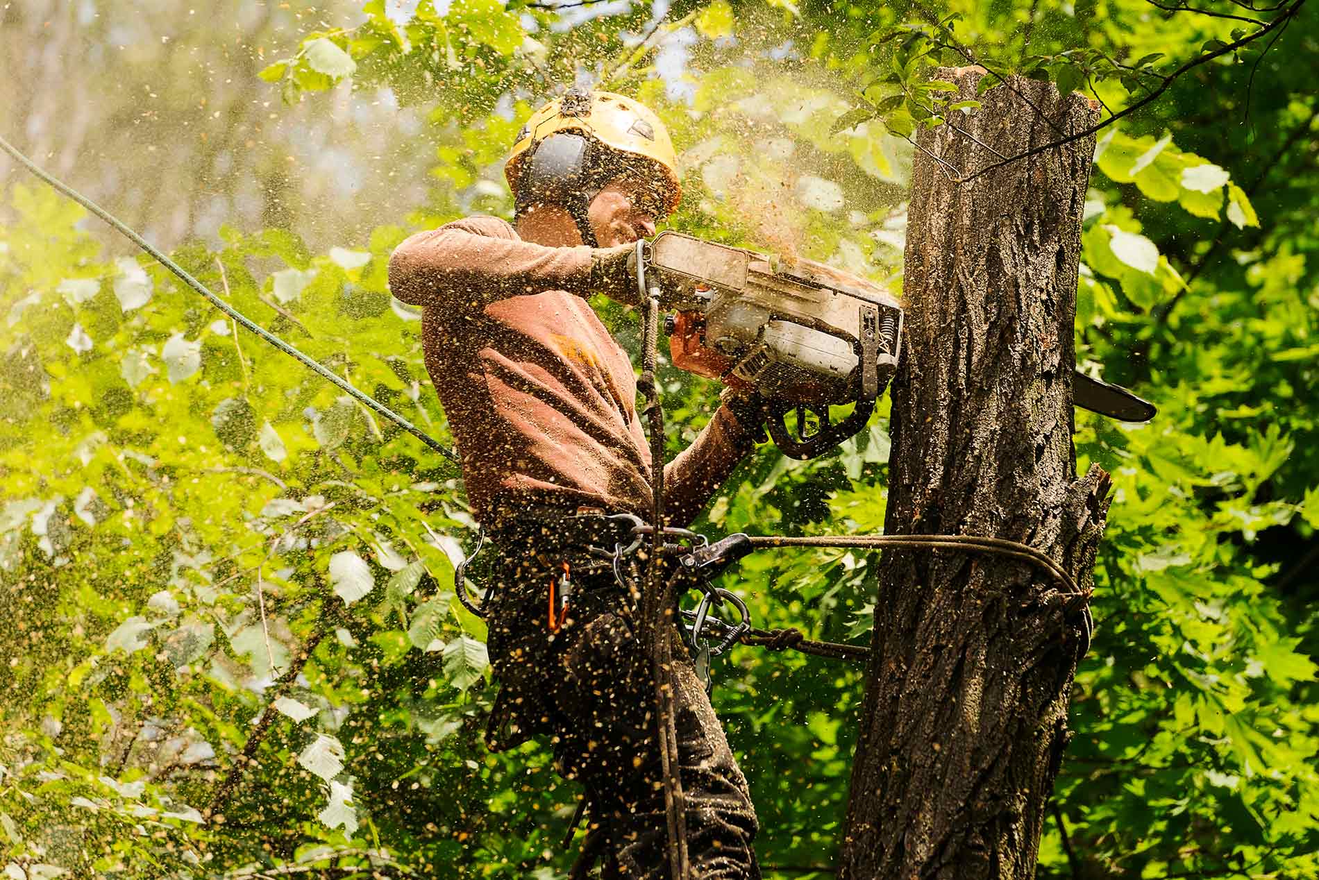 Tree Service, Landscaping, and Hardscaping in Milford, NJ